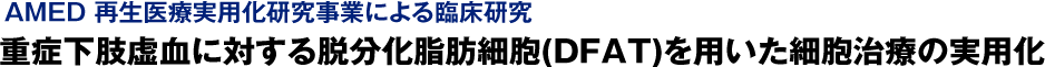 AMED 再生医療実用化研究事業による臨床研究
重症下肢虚血に対する脱分化脂肪細胞(DFAT)を用いた細胞治療の実用化
