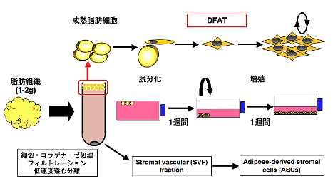 DFATの調製法