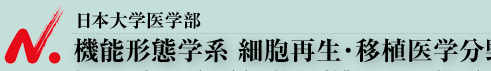 日本大学医学部　機能形態学系 細胞再生・移植医学分野