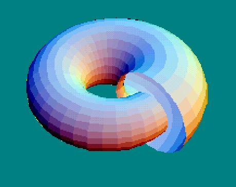 Torus