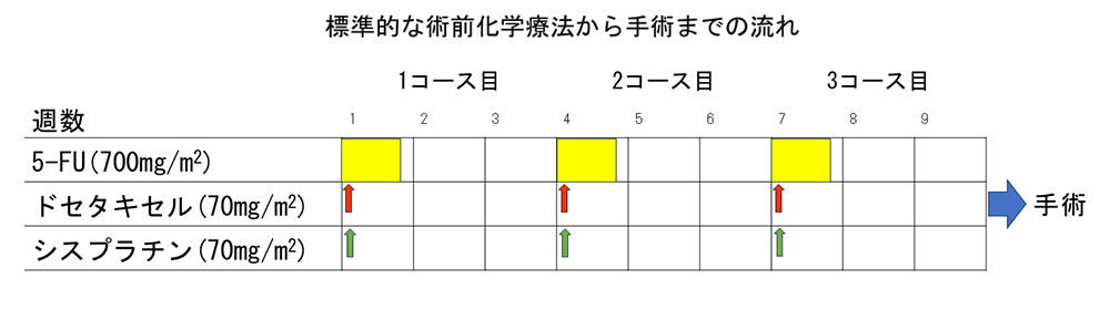 術前化学療法（DCFレジメン）